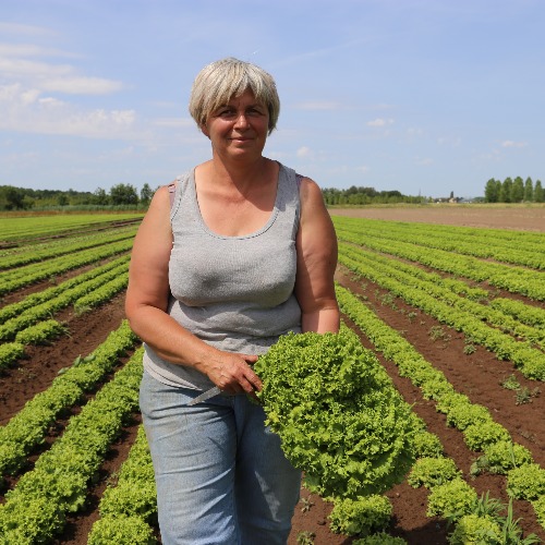 L’impact économique